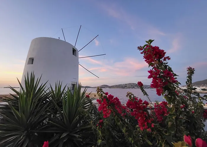 Manolia House Apartamento