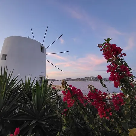 Manolia House Appartement